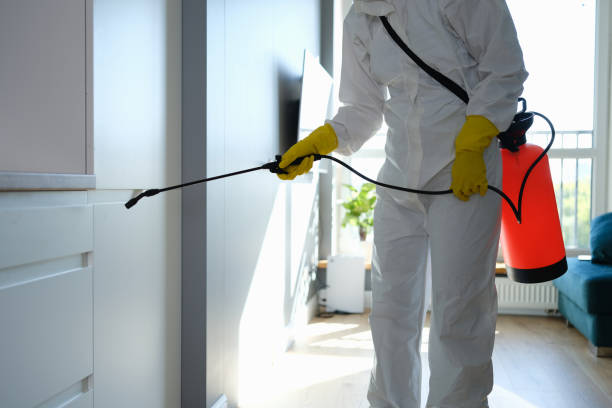 Trusted Nelsonville, OH Mold Removal Experts